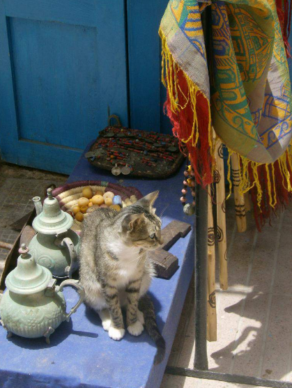 Chat