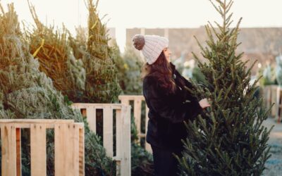 Où déposer son sapin de Noël sur Rouen ? 